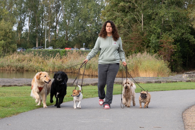 Lois-uitlaatservice-Hoofddorp